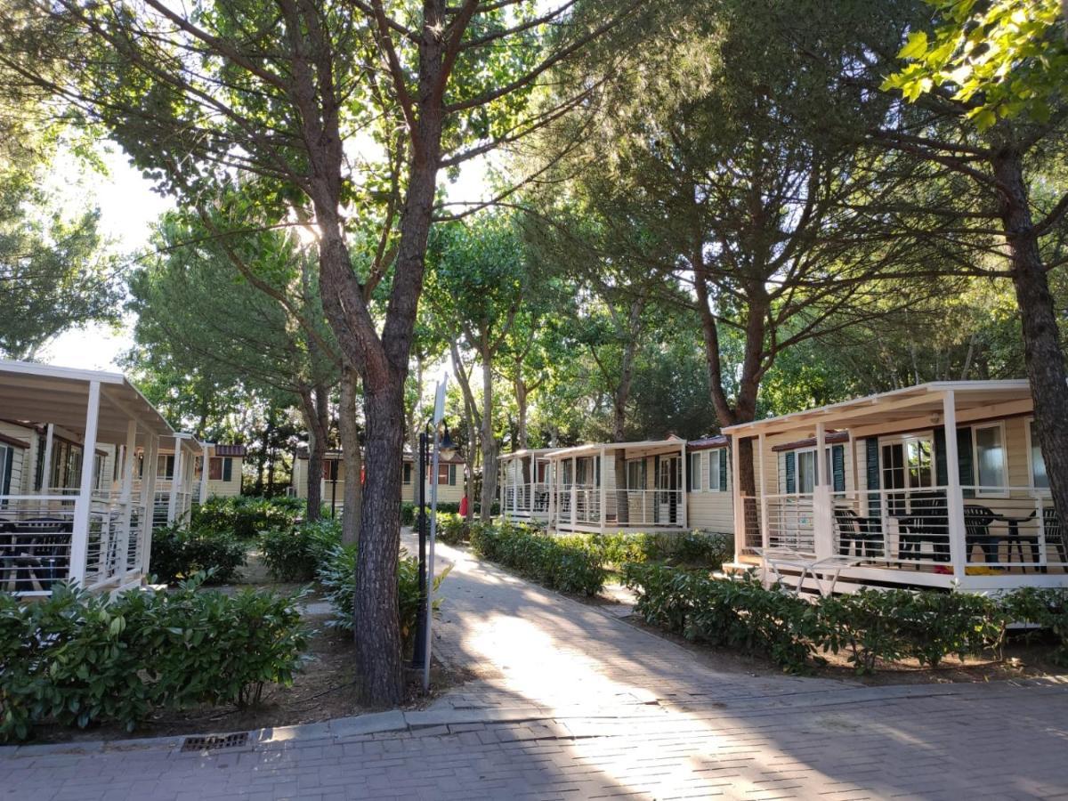 Badiaccia Village Camping Castiglione del Lago Exteriör bild